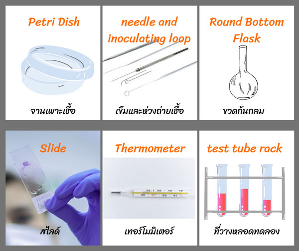 Scientific Equipment อุปกรณ์วิทยาศาสตร์ ภาษาอังกฤษ