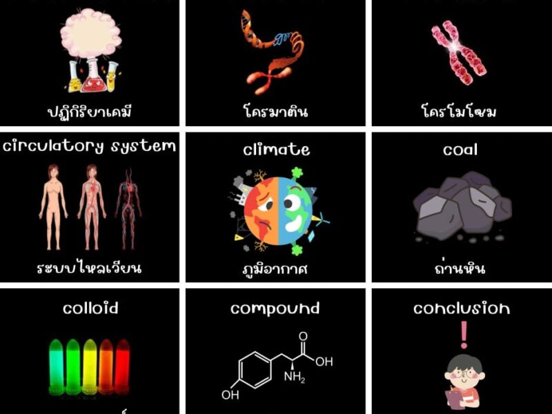 Science วิทยาศาสตร์ ภาษาอังกฤษ