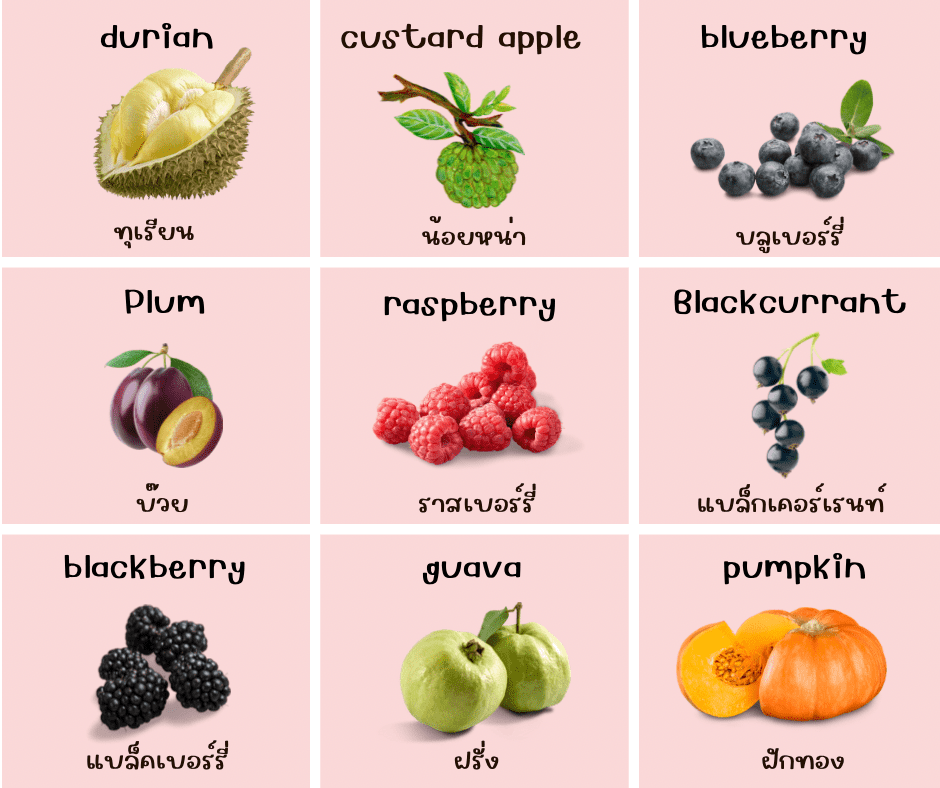 fruit ผลไม้ ภาษาอังกฤษ