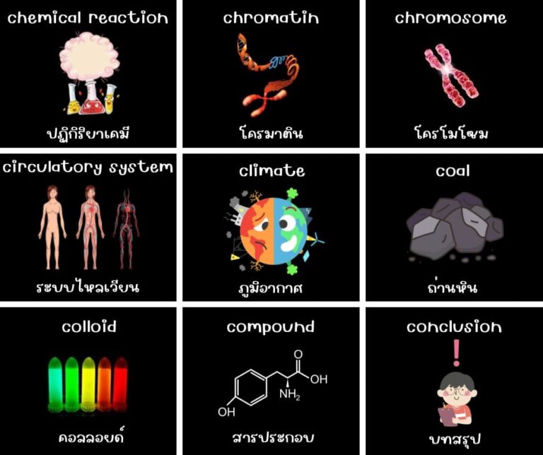 Science วิทยาศาสตร์ ภาษาอังกฤษ