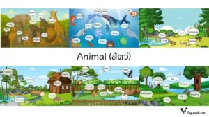 Animal สัตว์