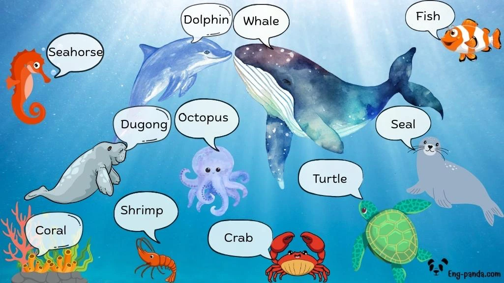 สัตว์น้ำ (Aquatic Animals)