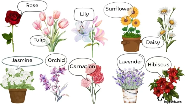 คำศัพท์ดอกไม้ภาษาอังกฤษ  พร้อมคำแปลไทย + เสียงอ่าน | Flowers Vocabulary