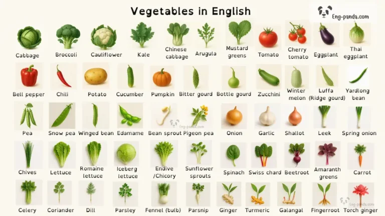 รวมคำศัพท์ผักภาษาอังกฤษ-ไทย คำอ่านภาษาอังกฤษ รูปผักแต่ละชนิด