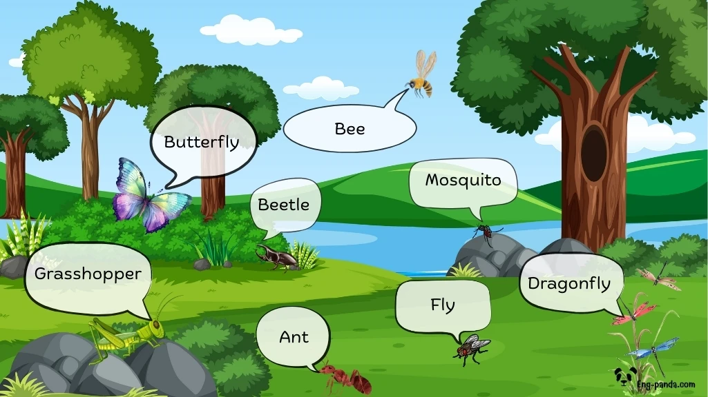 แมลง (Insects)