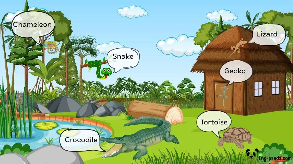สัตว์เลื้อยคลาน (Reptiles)
