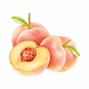 Apricot