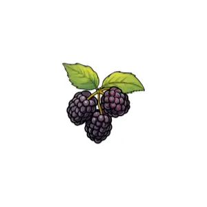 Blackberry