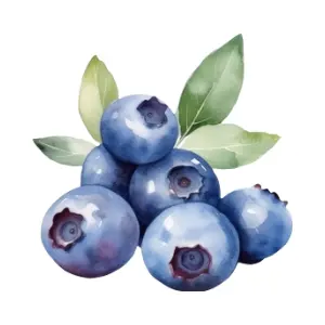 Blueberry