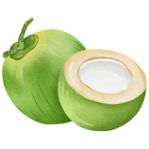 Coconut