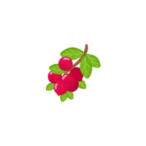 Cranberry