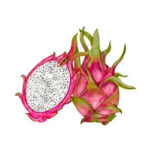 Dragon fruit