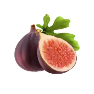 Fig