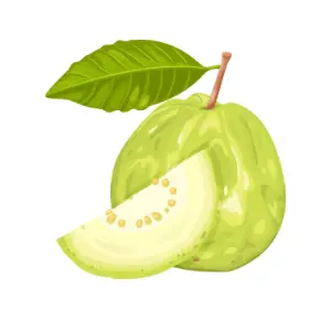Guava