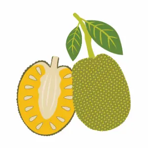 Jackfruit