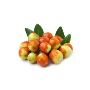Jujube