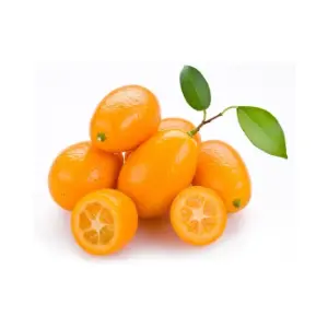 Kumquat