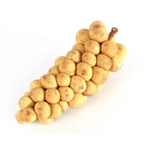 Langsat