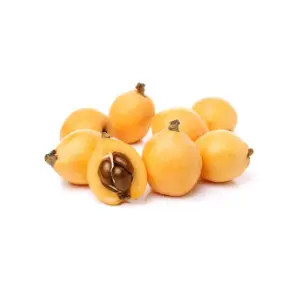 Loquat
