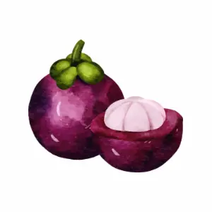 Mangosteen