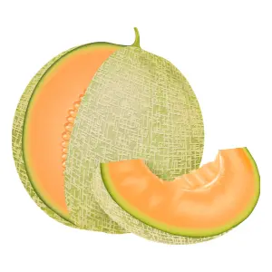 Melon