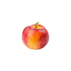 Nectarine