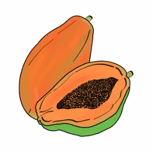 Papaya