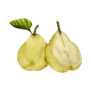 Pear