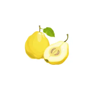 Quince