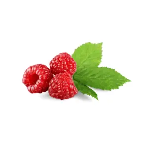 Raspberry