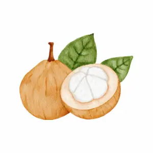 Santol