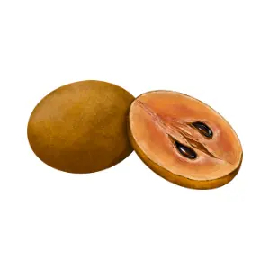 Sapodilla