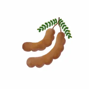 Tamarind