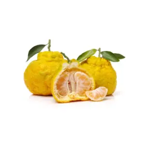 Ugli fruit