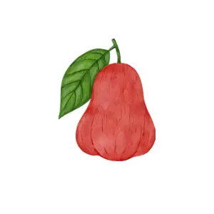 Wax apple