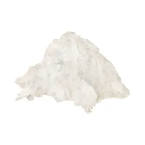 Baking powder