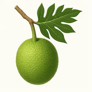 Breadfruit