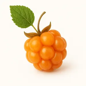 Cloudberry