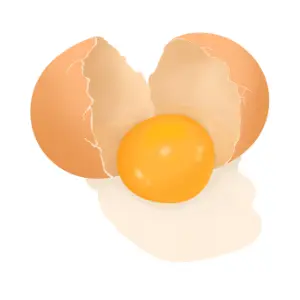 Egg