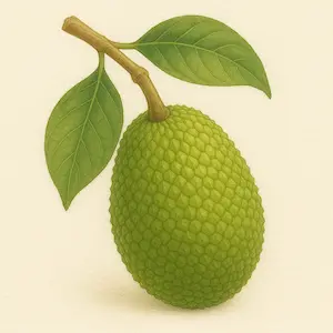 Jackfruit