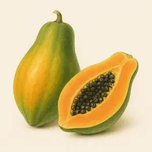 Papaya