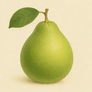 Pomelo
