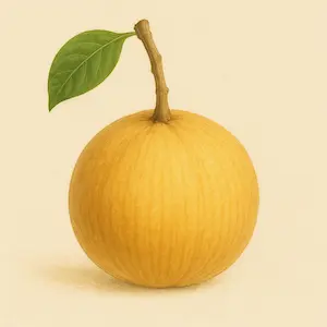 Santol