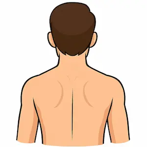 Back หลัง
