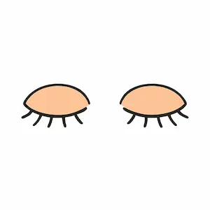 Eyelid เปลือกตา