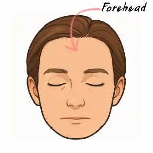 Forehead หน้าผาก