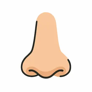 Nose จมูก