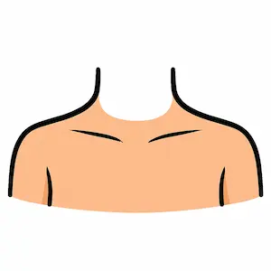 Shoulder ไหล่