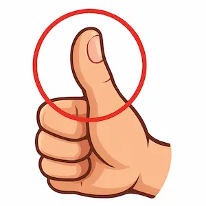Thumb นิ้วโป้ง