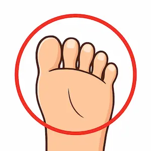 Toe นิ้วเท้า
